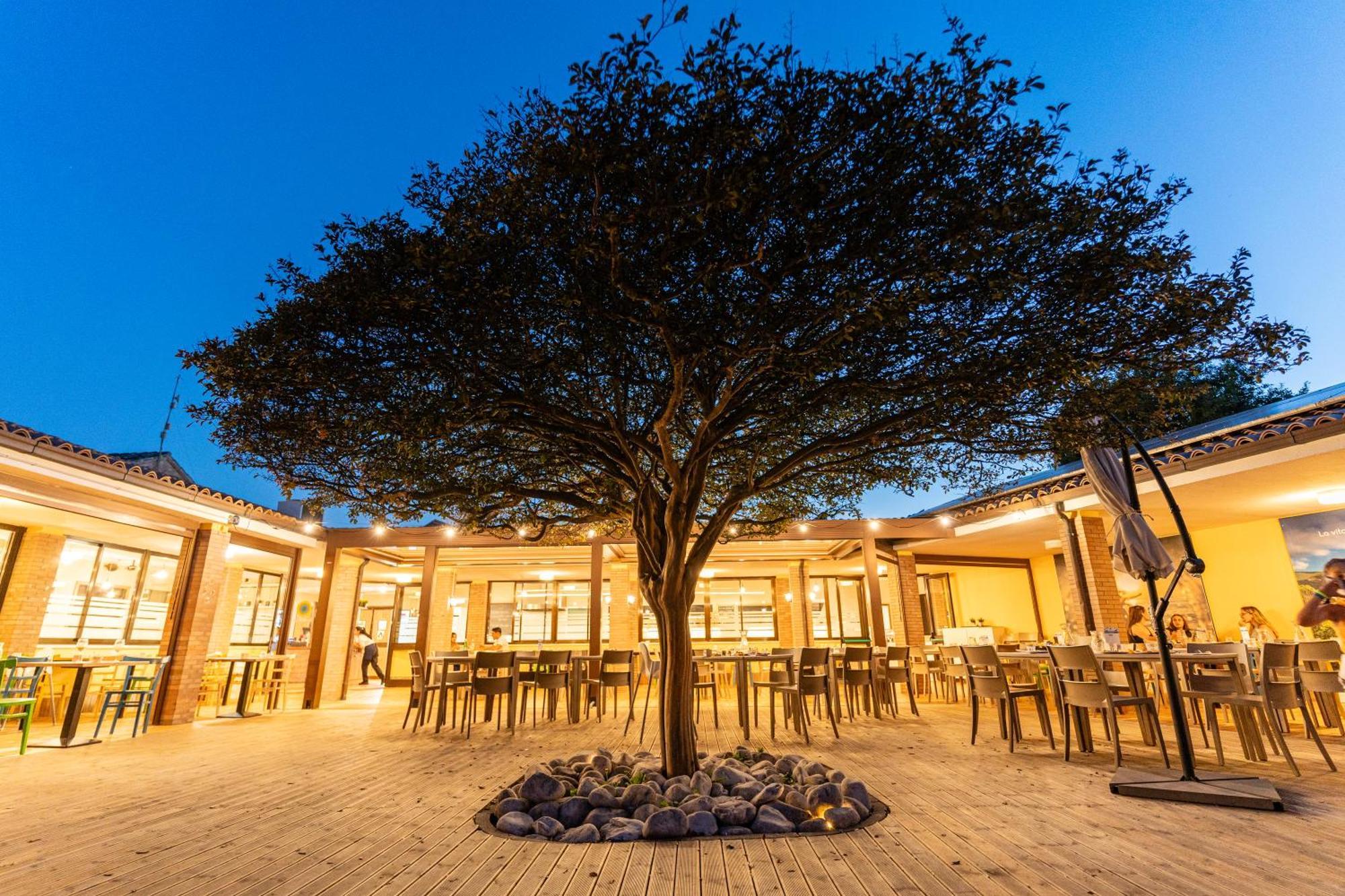 Отель Club Del Sole La Risacca Family Collection Порто-Сант'Эльпидио Экстерьер фото
